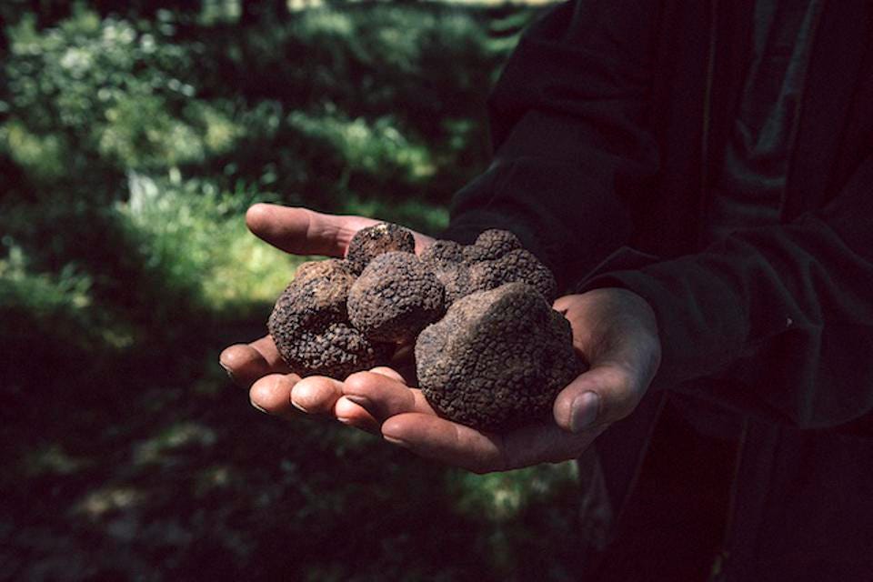 Forbes: Valentine’s Day 2022 Gift Guide: The Best Truffled Treats