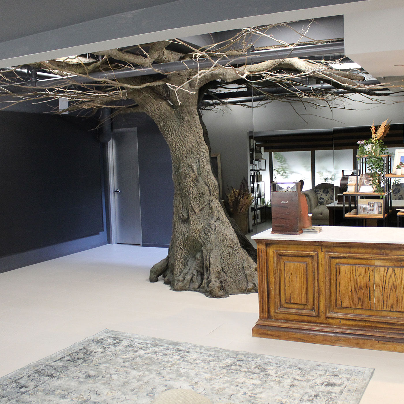 a tree in a room