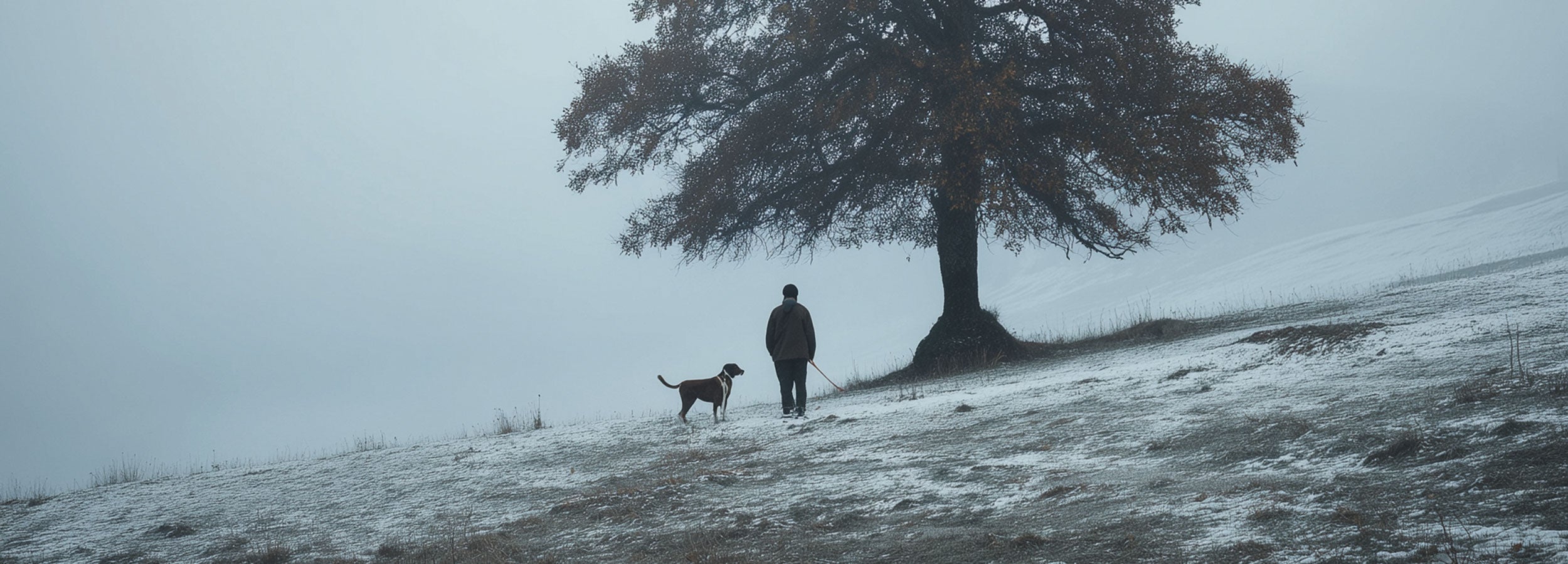 a person walking a dog on a snowy hill