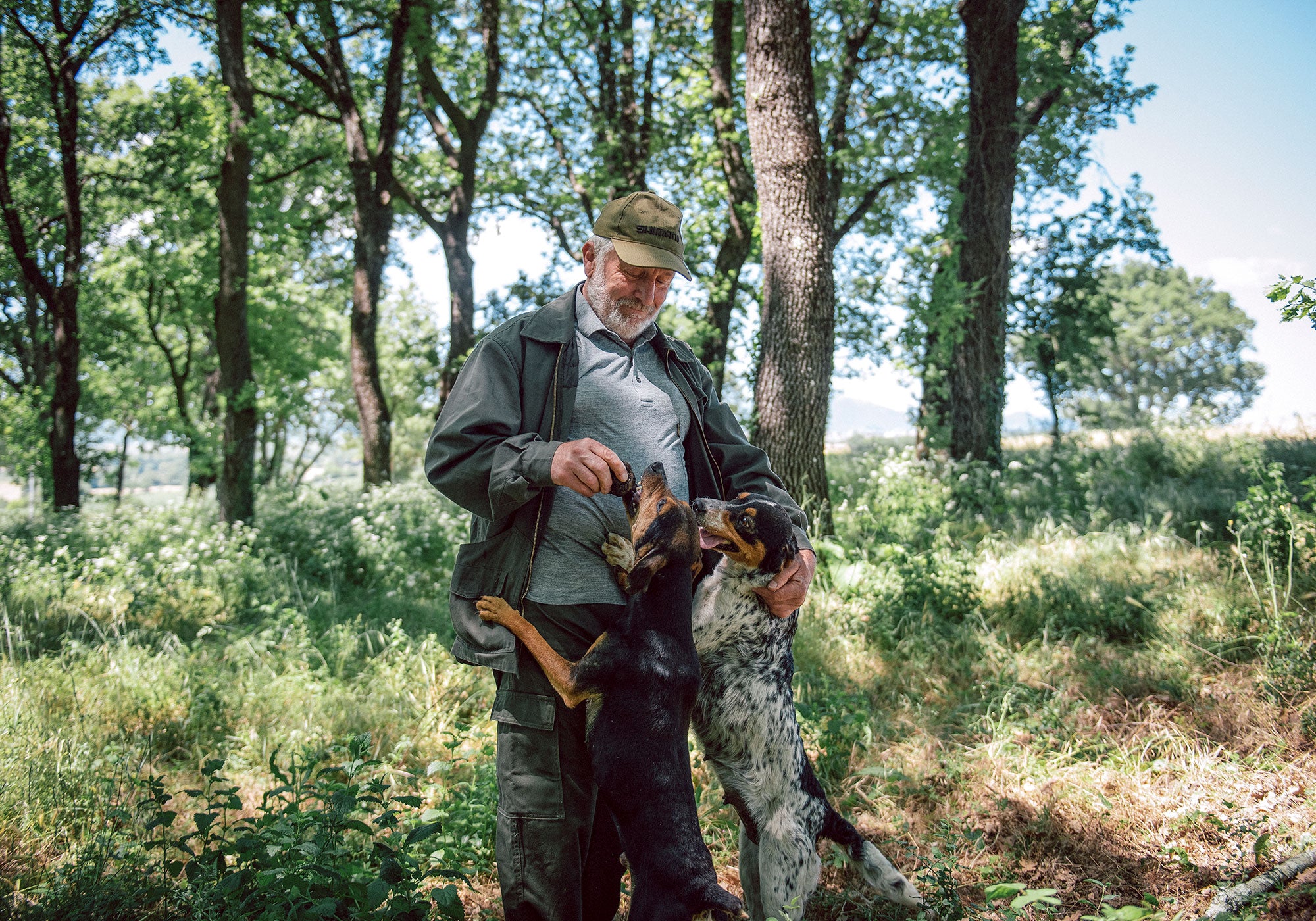 a man holding two dogs