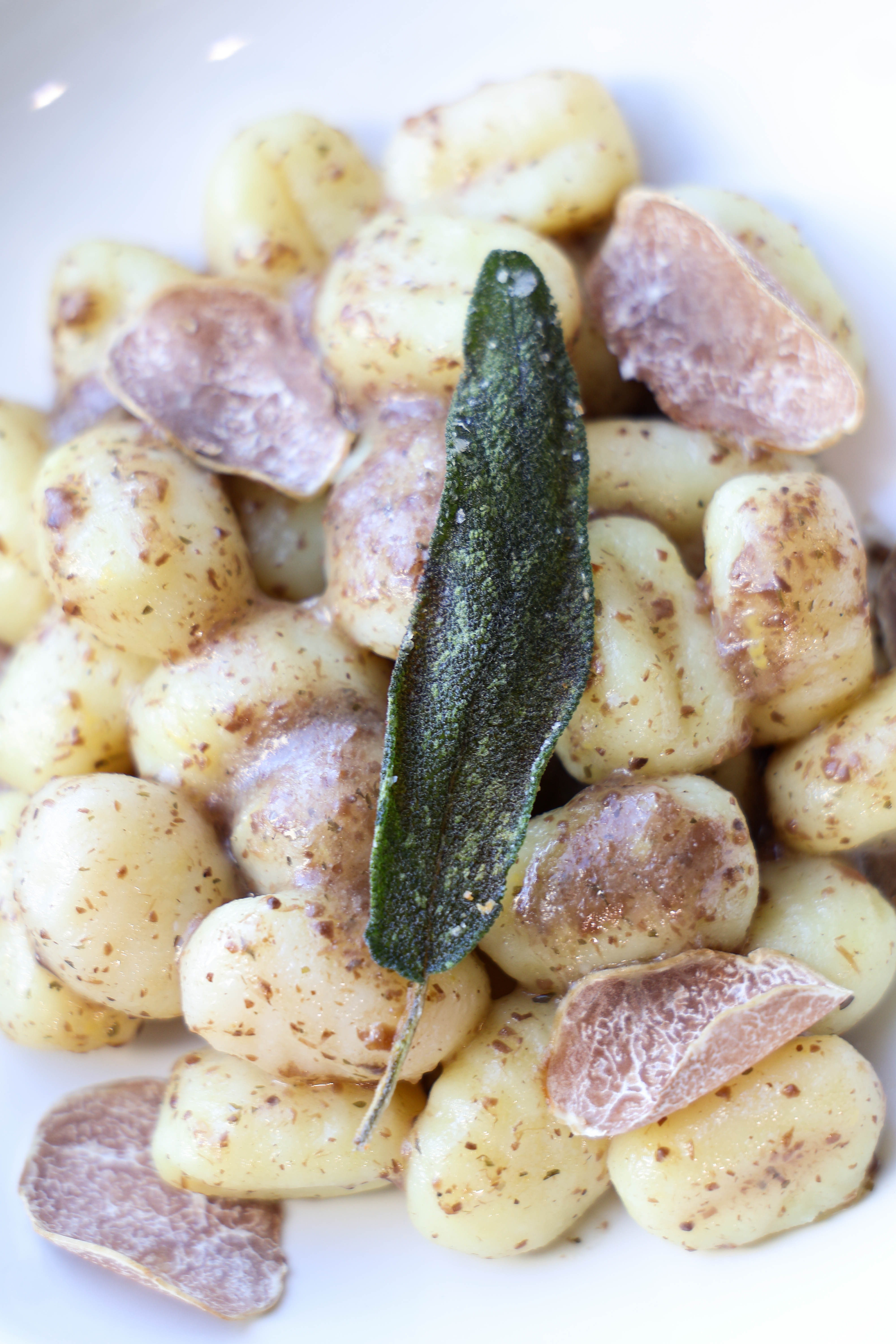 White Truffle Gnocchi