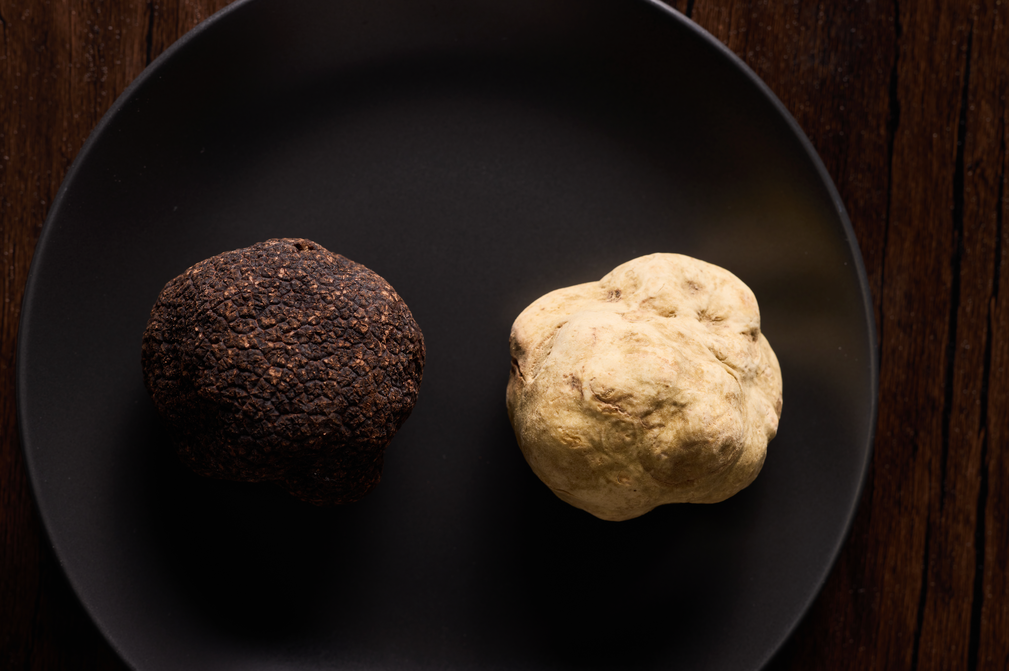 Black Truffles vs. White Truffles: What’s the Difference? 