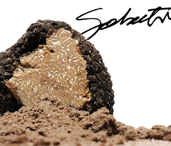 TRUFFLE ZEST® INGREDIENTS