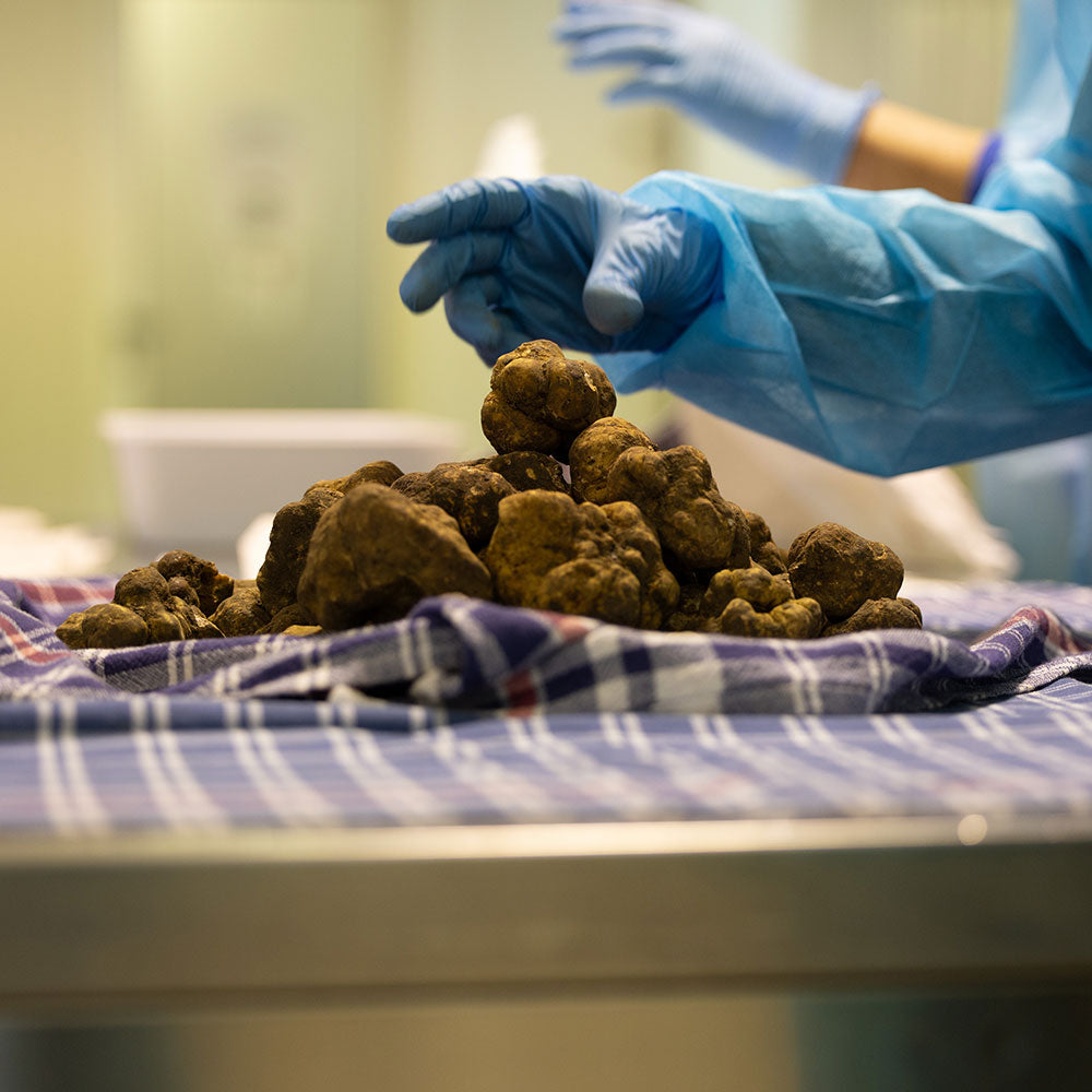 a person in blue gloves holding a pile of dirt