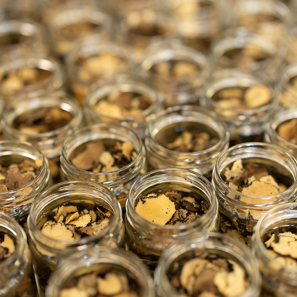 a group of glass jars with brown and black objects in them