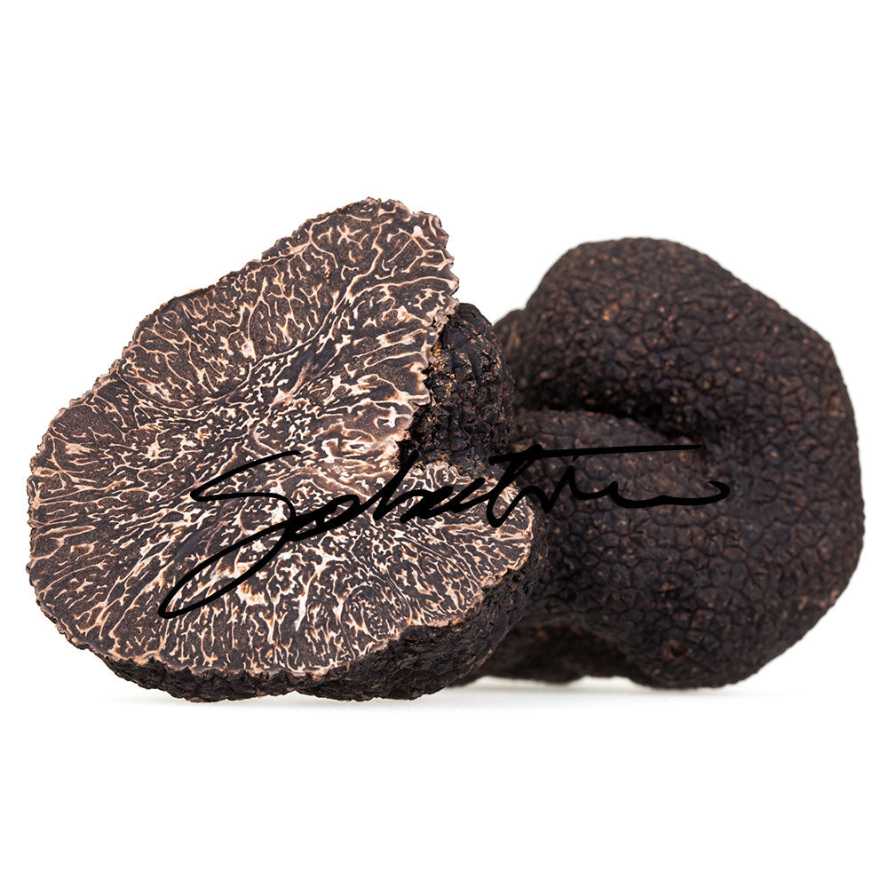 Fresh Black Winter Truffles - Sabatino Truffles