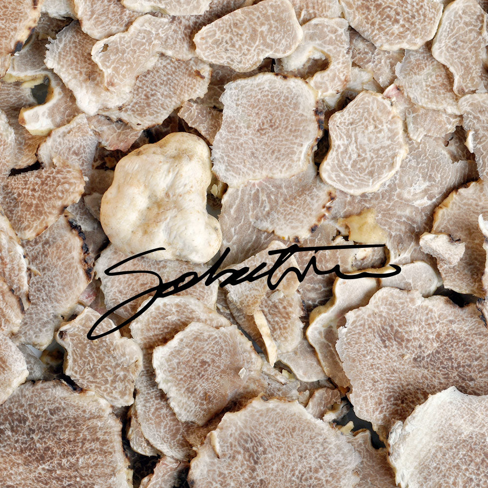 Fresh White Truffles - Sabatino Truffles