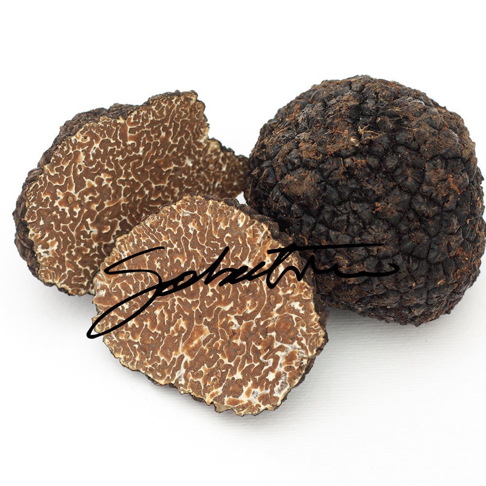 Sabatino-Burgundy Truffle